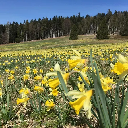 La Prairie