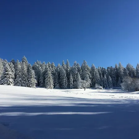 La Prairie *